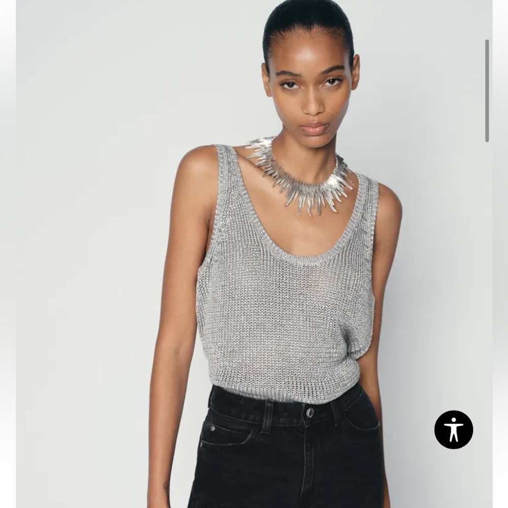 Zara Metallic Knit Tank, Size Small, NWT